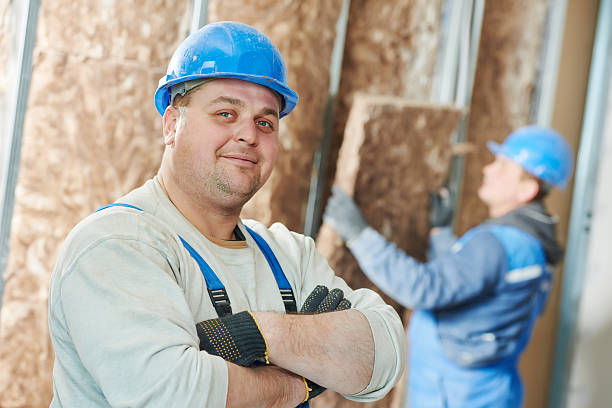 Best Eco-Friendly or Green Insulation Solutions  in Utica, MI